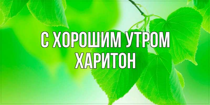 Картинка С хорошим утром, Харитон