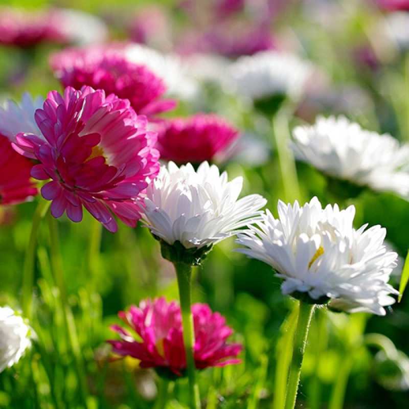 Картинка Люблю тебя, Измаил