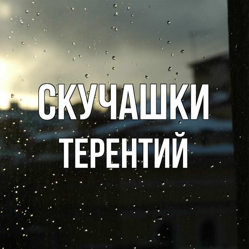 Картинка Скучашки, Терентий