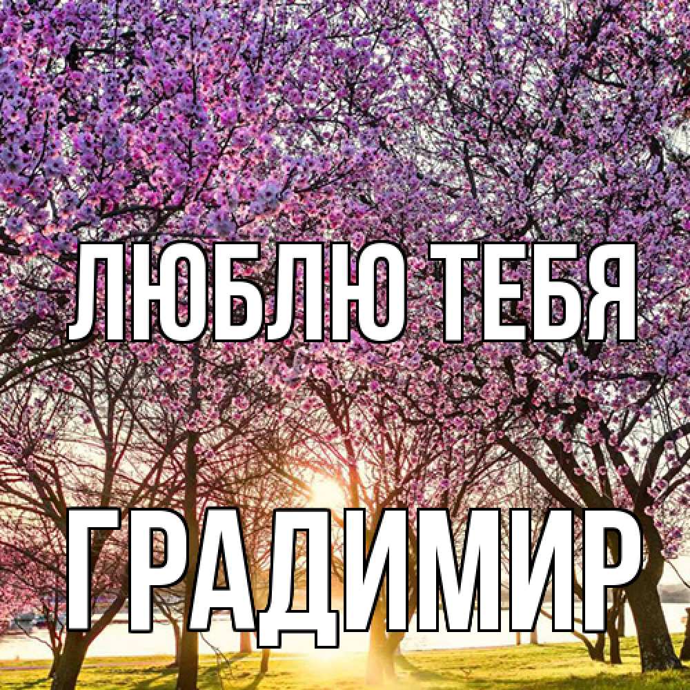 Открытка на каждый день с именем, Градимир Люблю тебя международный женский день Прикольная открытка с пожеланием онлайн скачать бесплатно 