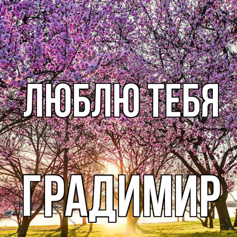Картинка Люблю тебя, Градимир