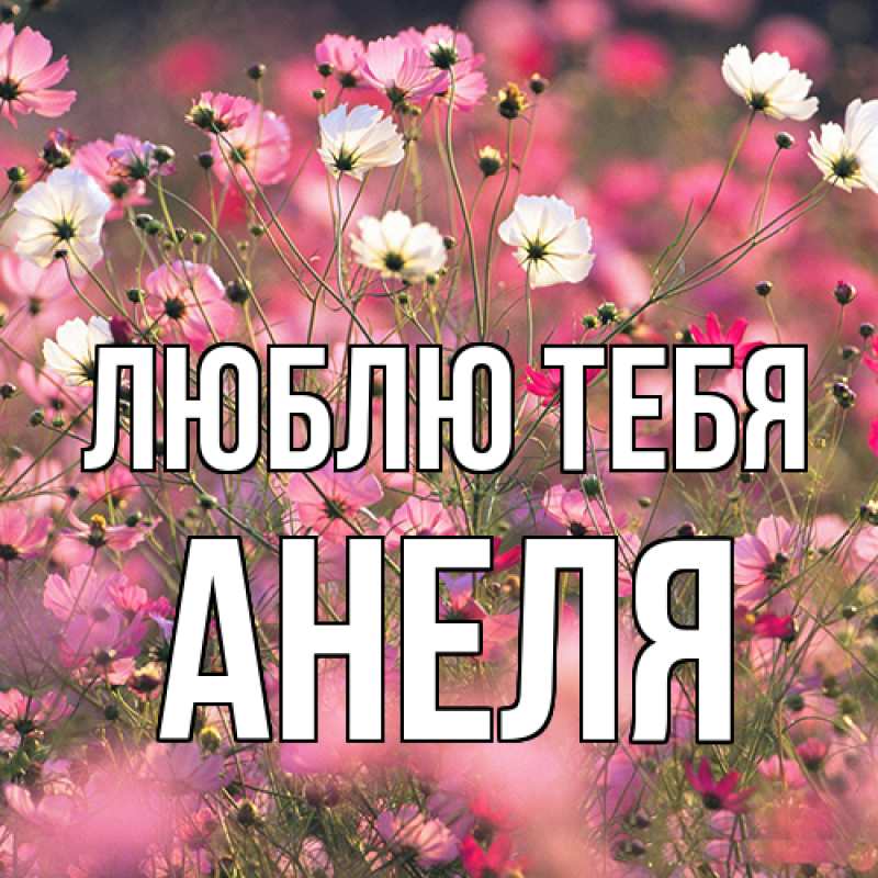 Картинка Люблю тебя, Анеля