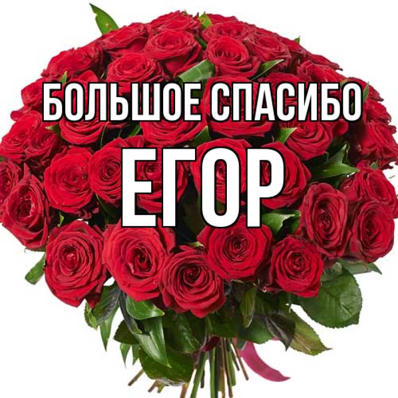 Картинка Большое спасибо, Егор
