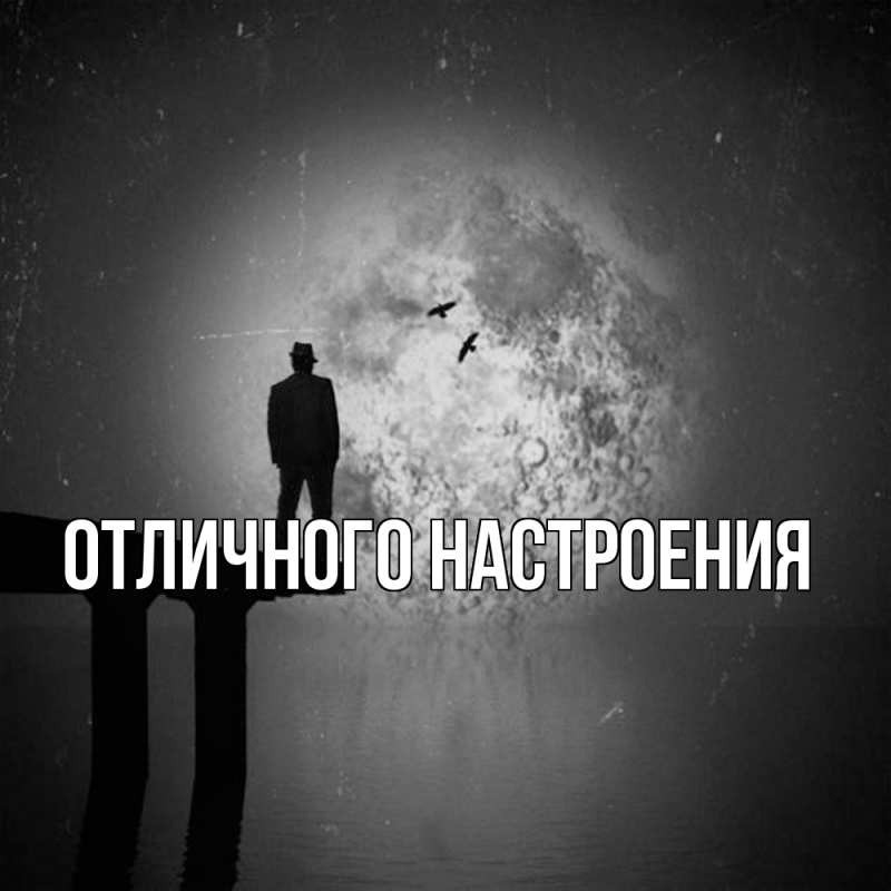 Картинка Скучашки, Песподобная