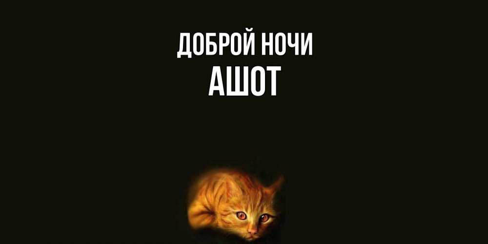 Открытка на каждый день с именем, Ашот Доброй ночи кот Прикольная открытка с пожеланием онлайн скачать бесплатно 