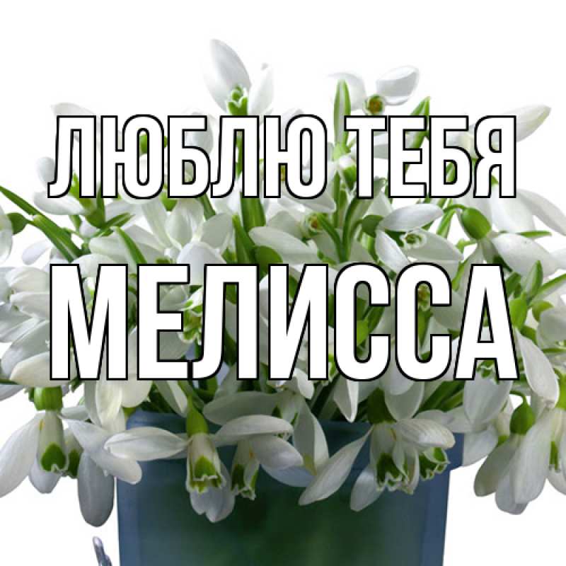 Картинка Люблю тебя, Мелисса