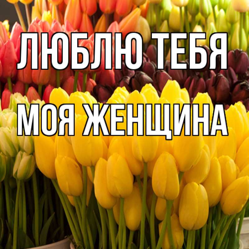 Картинка Люблю тебя, Моя женщина