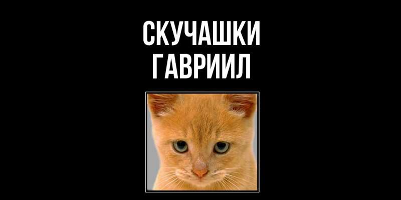 Картинка Скучашки, Гавриил