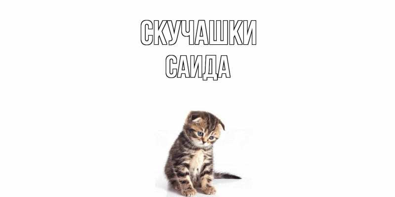 Картинка Скучашки, Саида