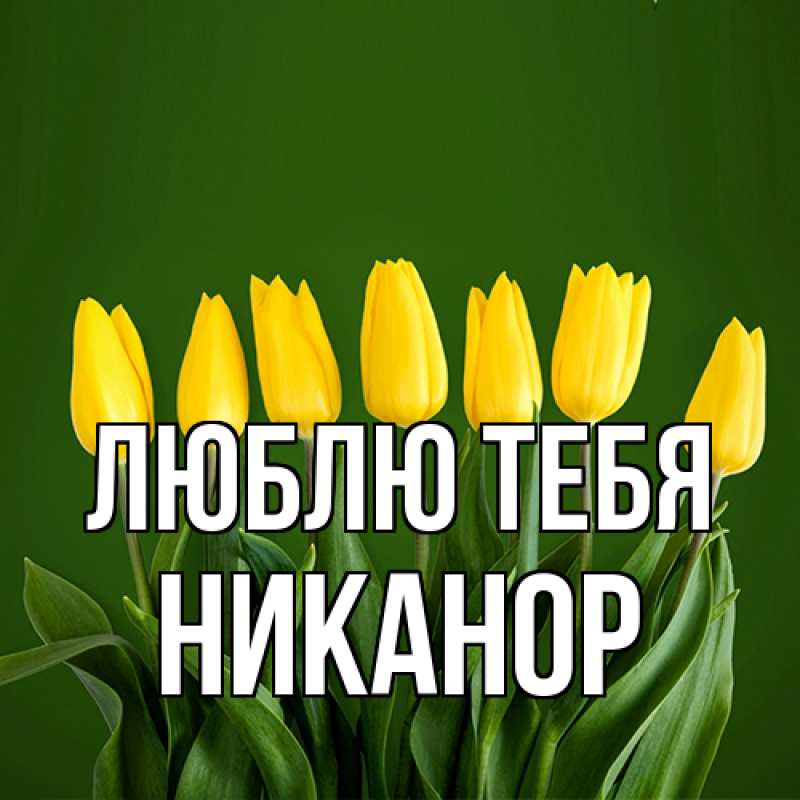 Картинка Люблю тебя, Никанор