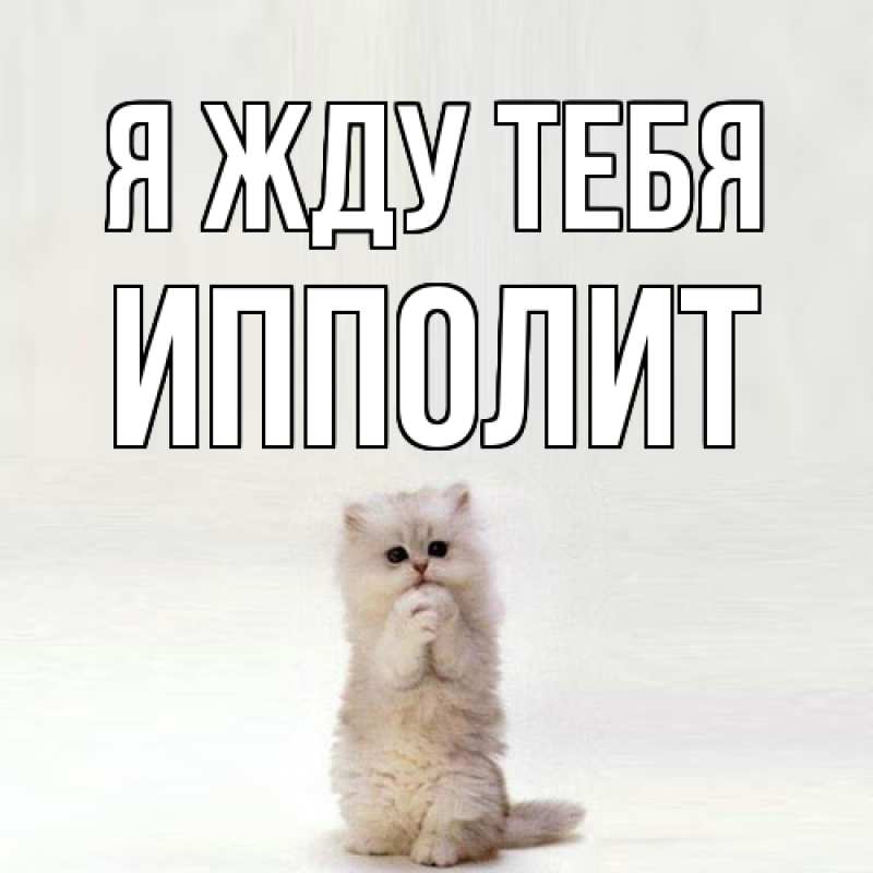 Картинка Я жду тебя, Ипполит