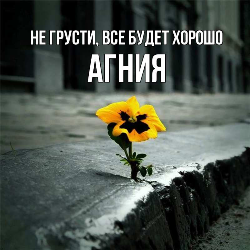 Картинка Не грусти, все будет хорошо, Агния