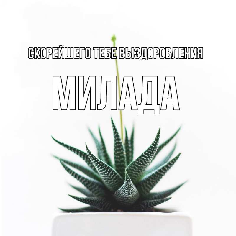 Картинка Скорейшего тебе выздоровления, Милада