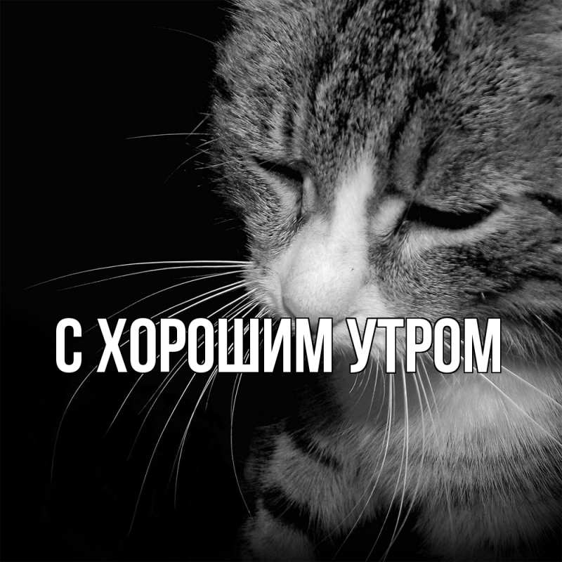 Картинка Скучашки, Богдан