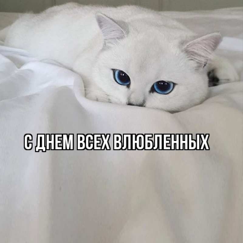 Картинка Я жду тебя, Моя женщина