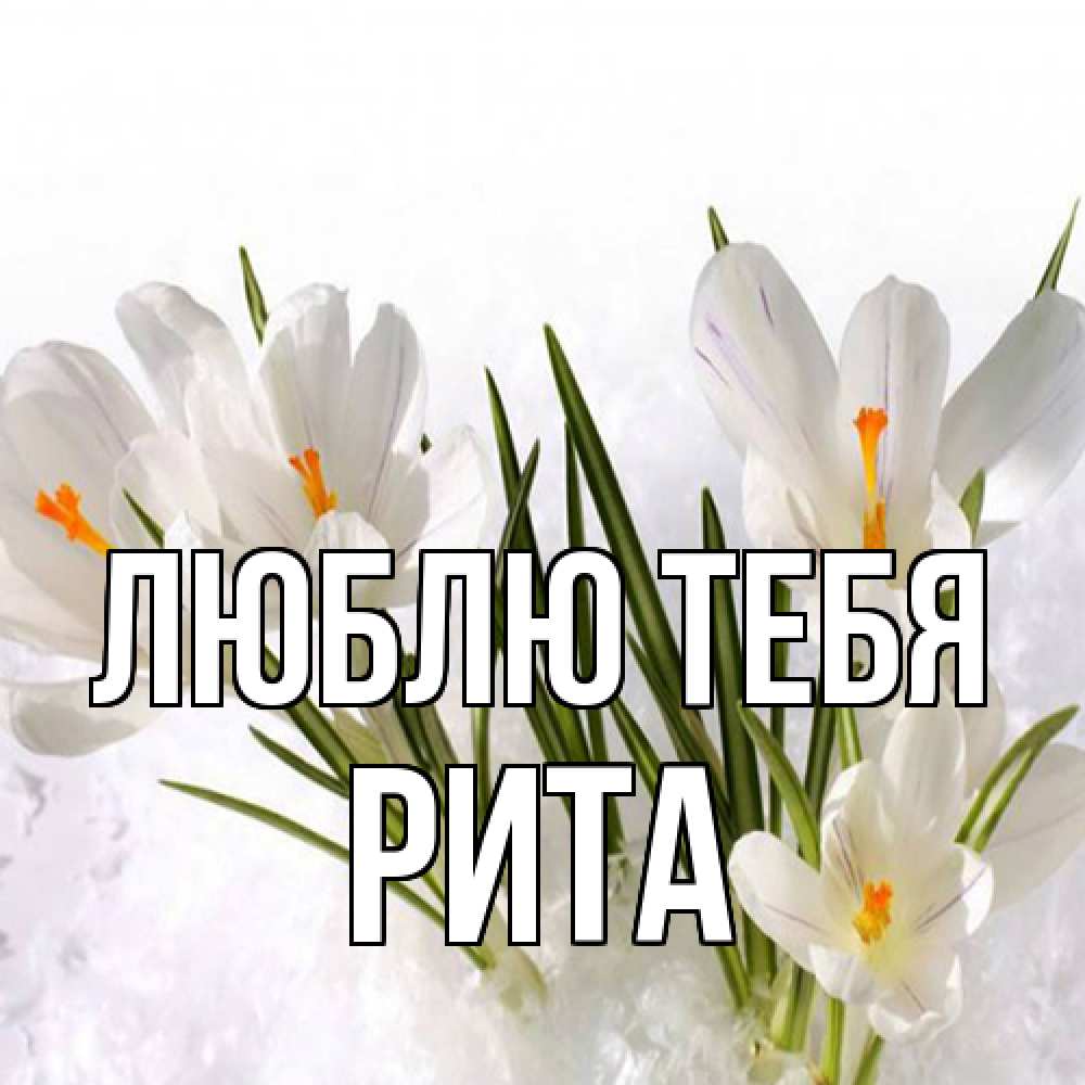Открытка на каждый день с именем, Рита Люблю тебя под снегом Прикольная открытка с пожеланием онлайн скачать бесплатно 