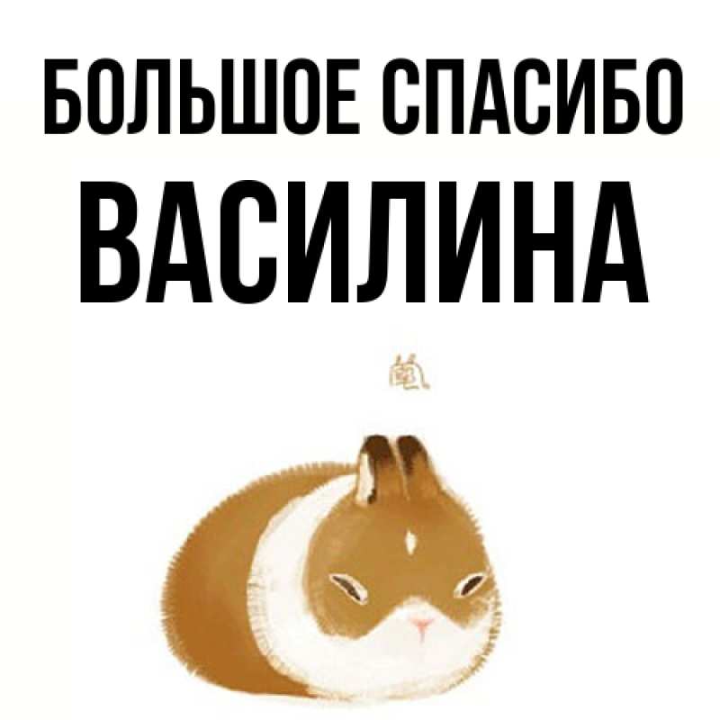 Картинка Большое спасибо, Василина