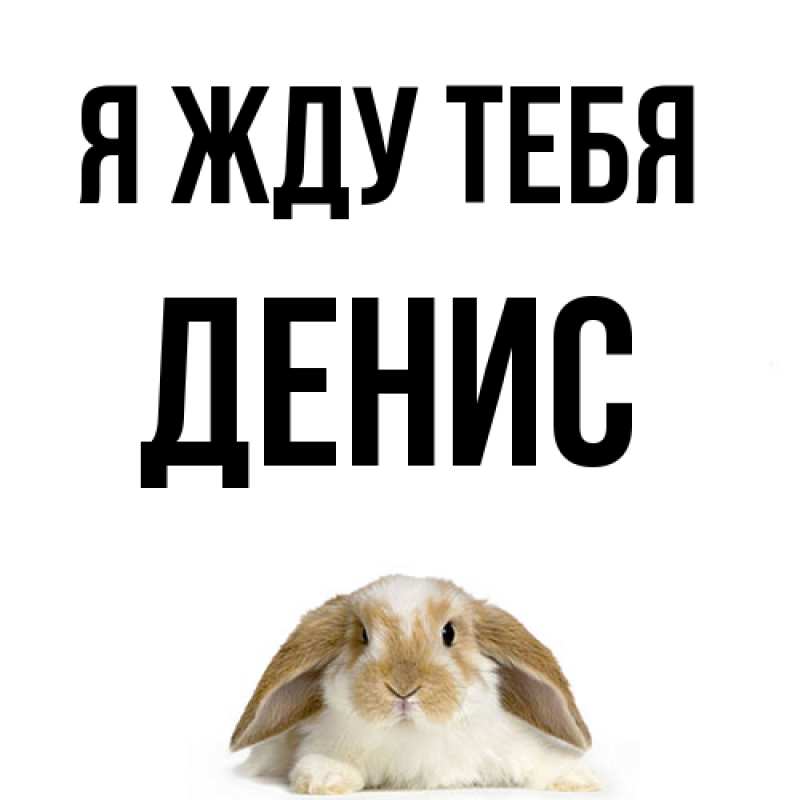 Картинка Я жду тебя, Денис