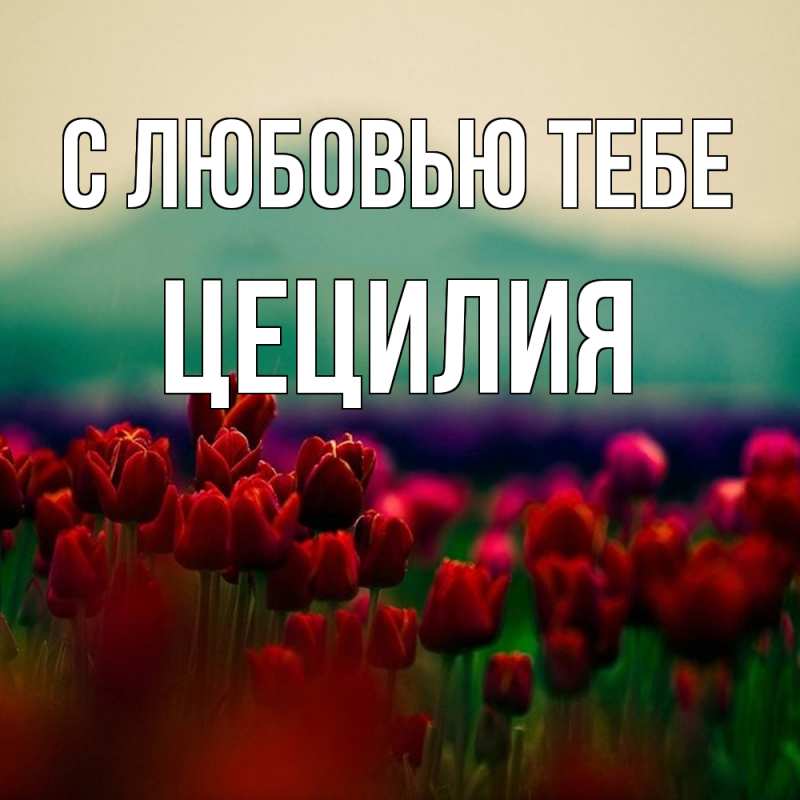 Картинка С любовью тебе, Цецилия