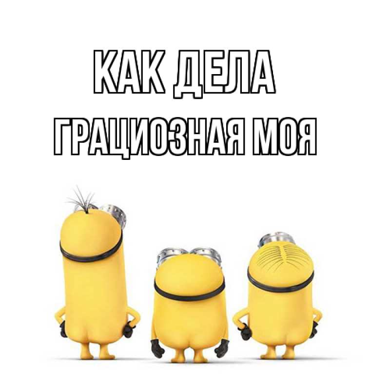 Картинка Как дела, Грациозная моя