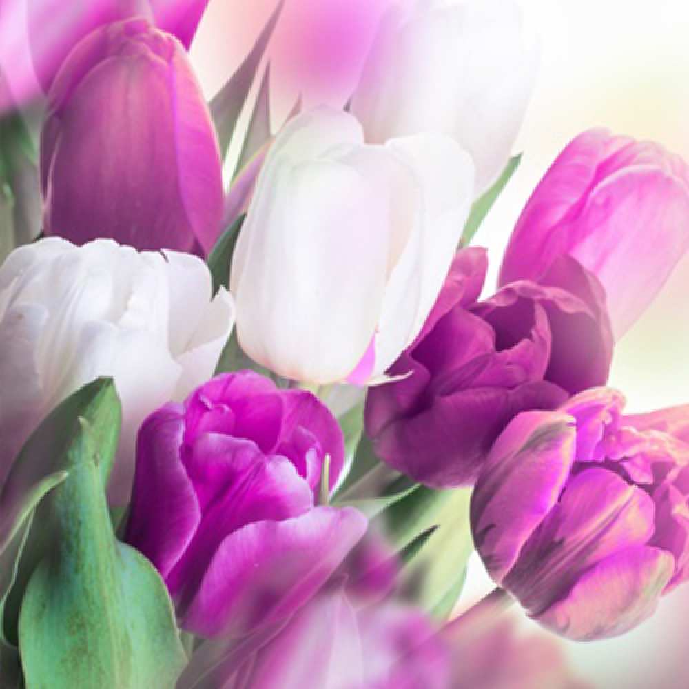 Открытка на каждый день с именем, Франсуаза Люблю тебя весна 1 Прикольная открытка с пожеланием онлайн скачать бесплатно 