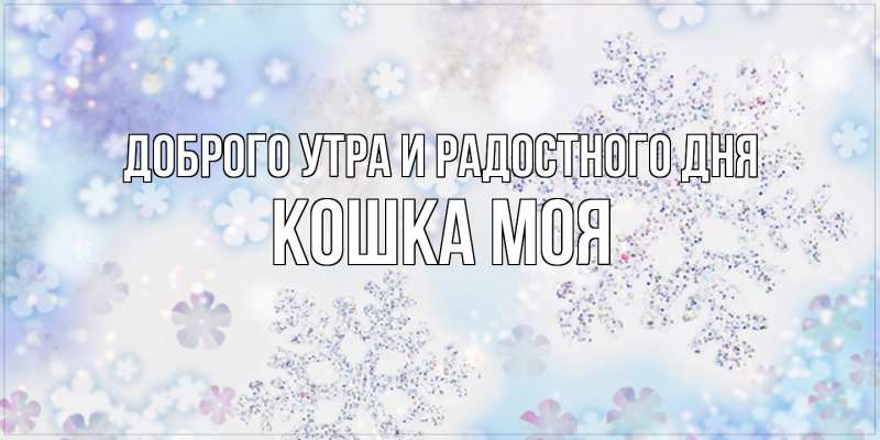 Картинка Доброго утра и радостного дня, Кошка моя
