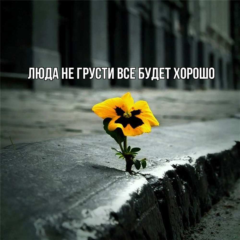 Открытка на каждый день с именем, Люда Не грусти, все будет хорошо не сдавайся Прикольная открытка с пожеланием онлайн скачать бесплатно 