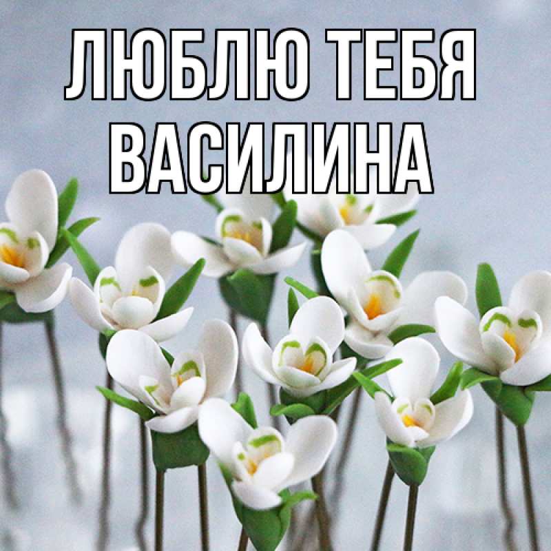 Картинка Люблю тебя, Василина