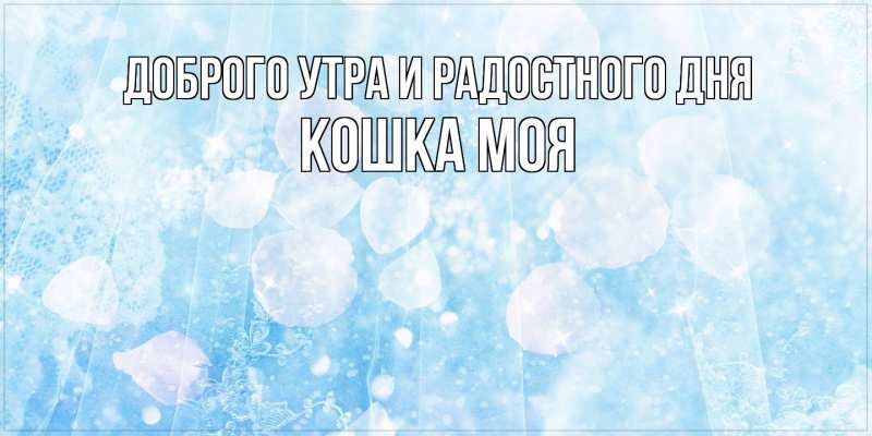 Картинка Доброго утра и радостного дня, Кошка моя