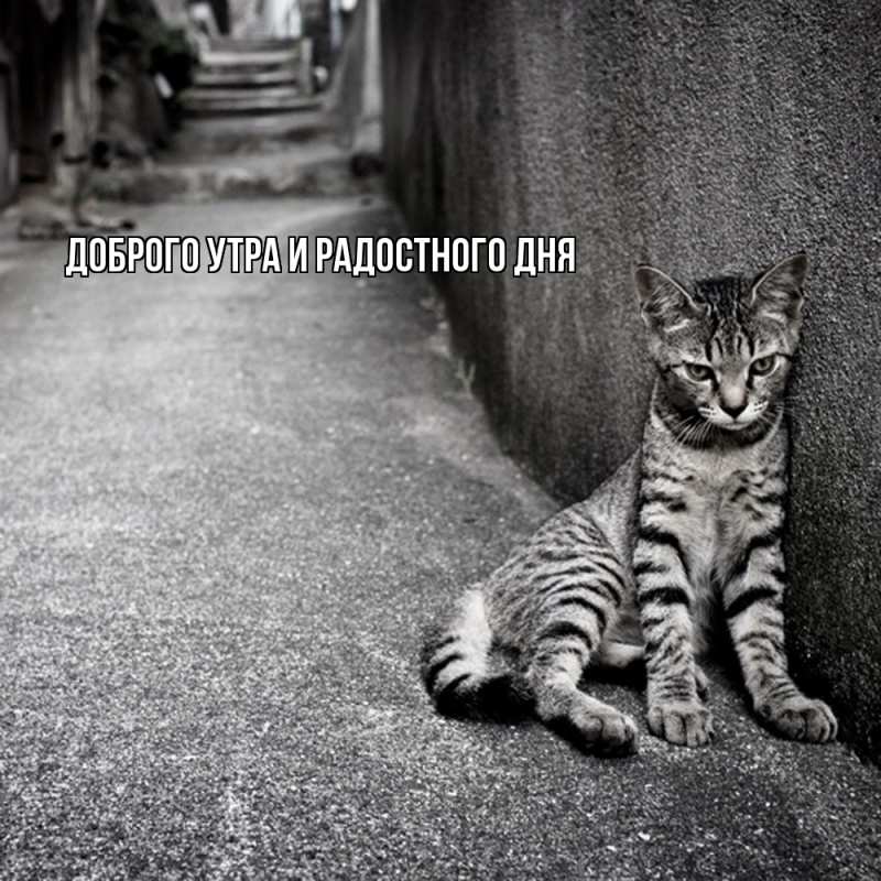 Картинка Не грусти, все будет хорошо, Ия