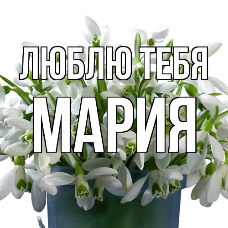 Картинка Люблю тебя, Мария