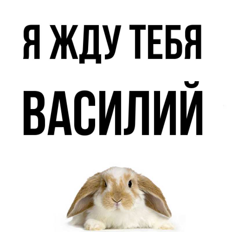 Картинка Я жду тебя, Василий
