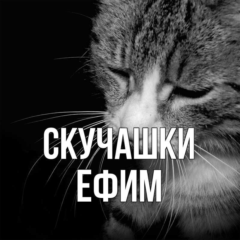 Открытка с именем, Ефим, Скучашки