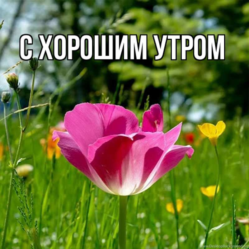 Картинка Люблю тебя, Варя