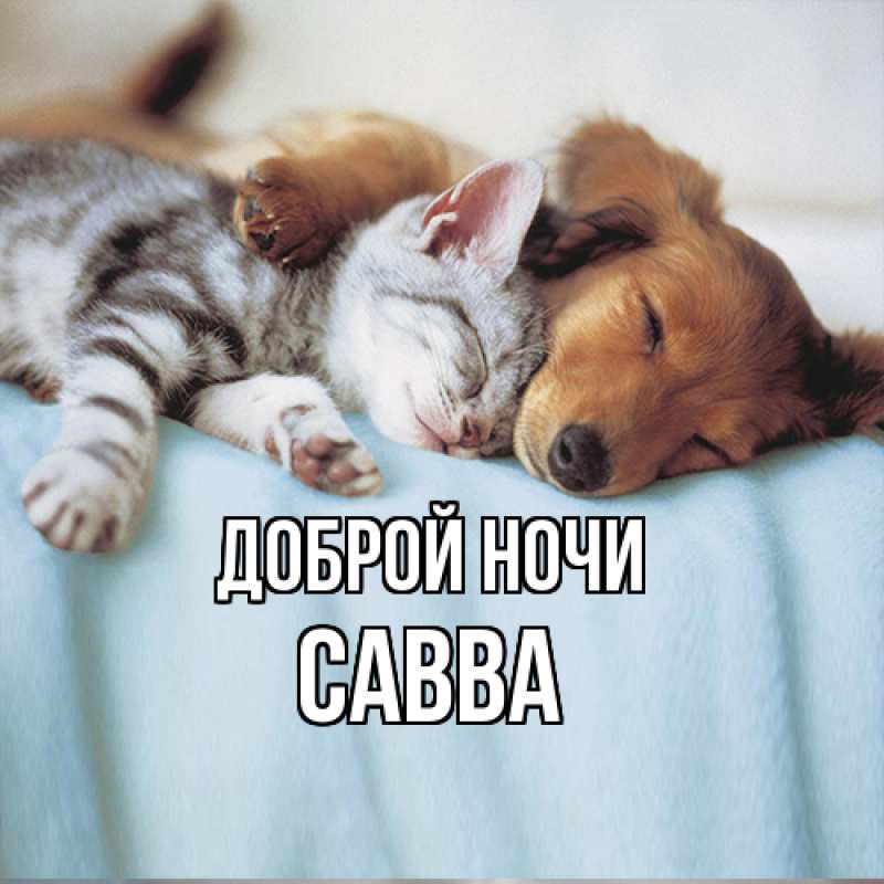 Картинка Доброй ночи, Савва