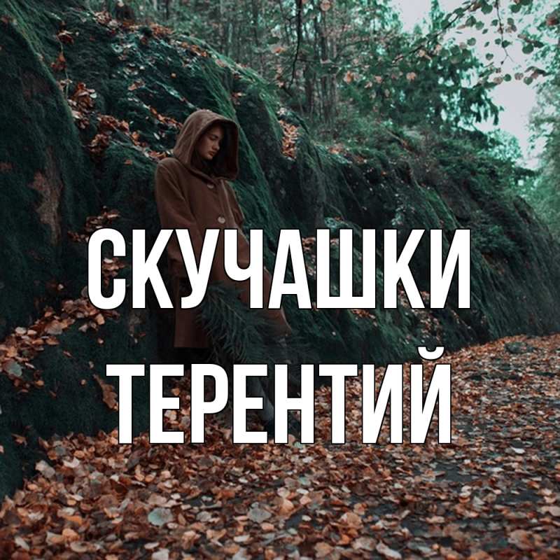 Картинка Скучашки, Терентий