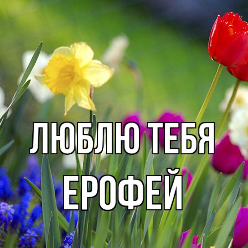 Открытка с именем, Ерофей, Люблю тебя