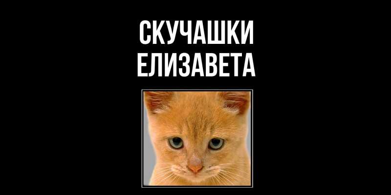 Картинка Скучашки, Елизавета