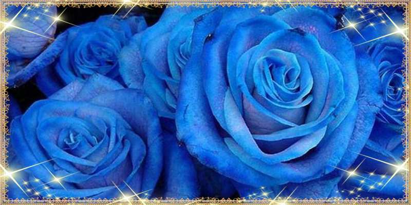 Картинка Люблю тебя, Коля