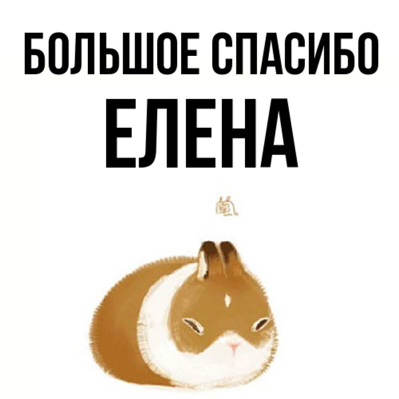 Картинка Большое спасибо, Елена