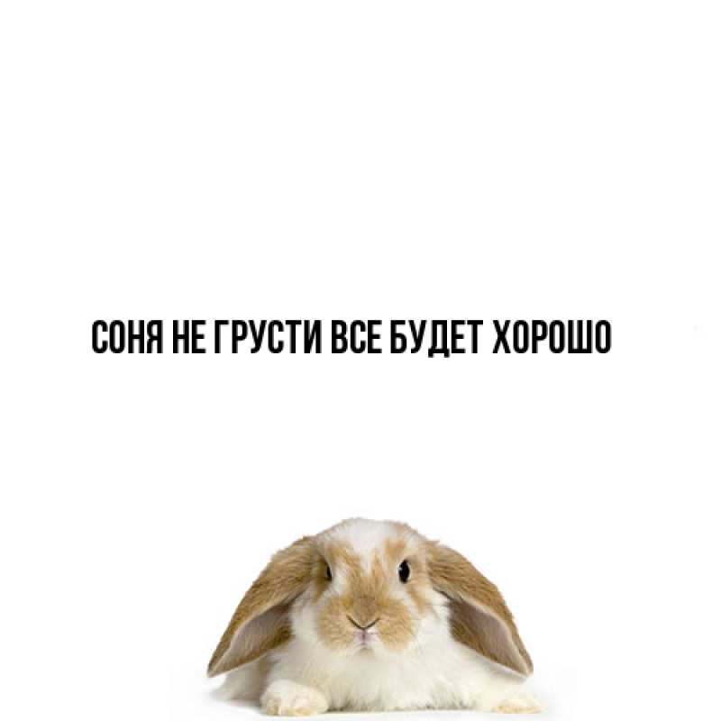 Картинка Не грусти, все будет хорошо, Соня