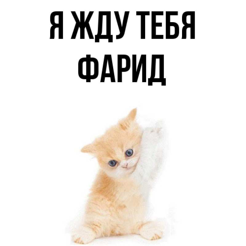 Открытка с именем, Фарид, Я жду тебя