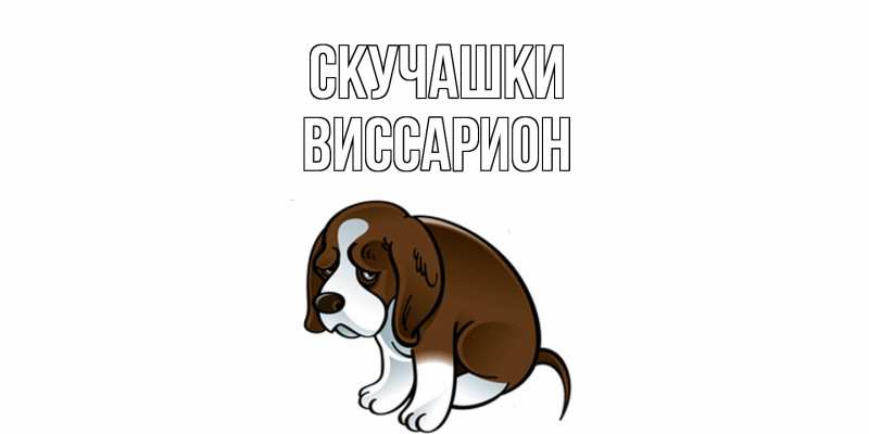 Картинка Скучашки, Виссарион