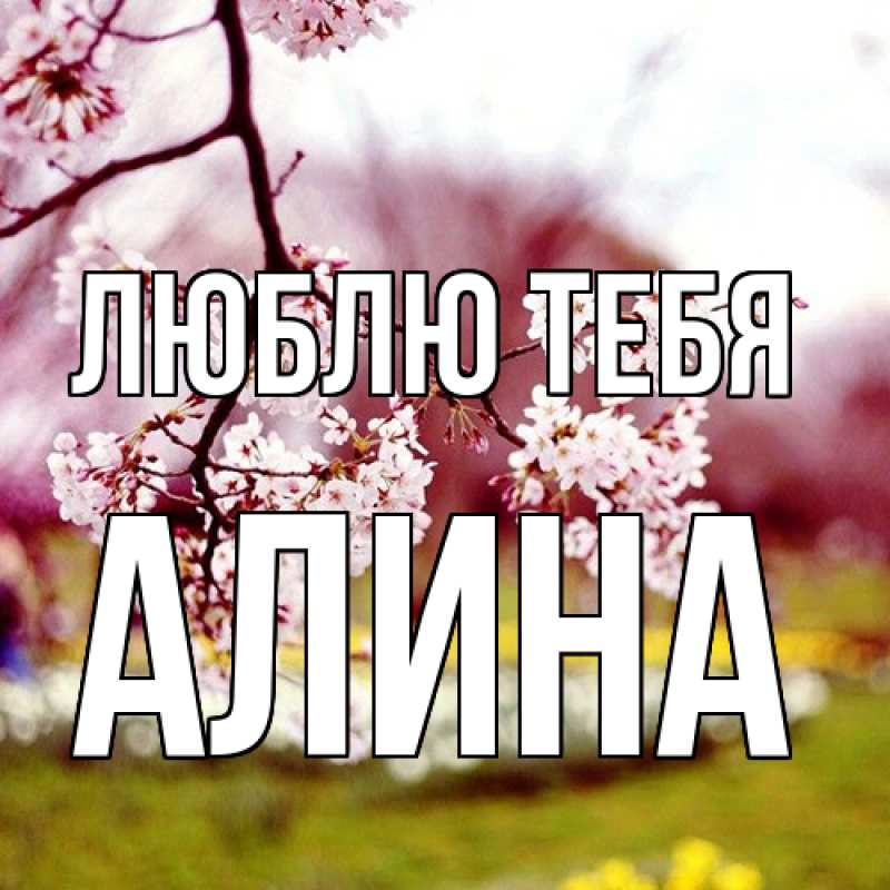 Картинка Люблю тебя, Алина