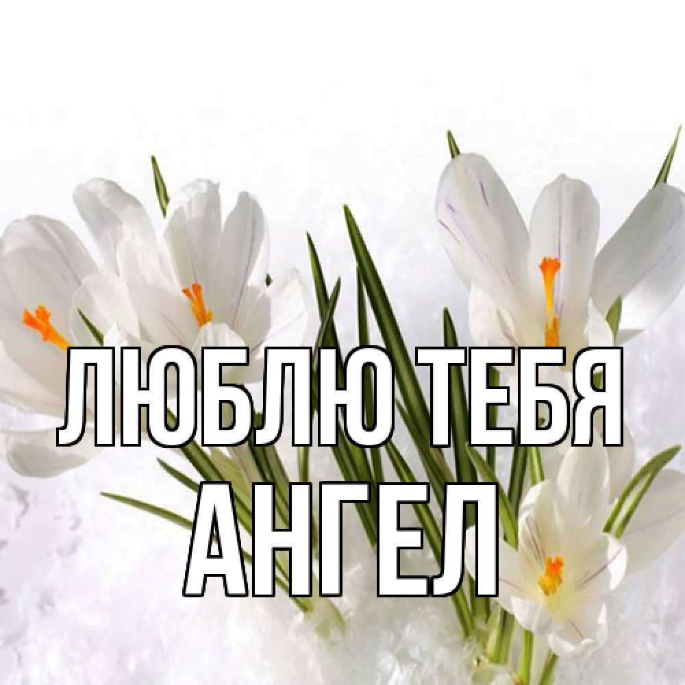 Открытка на каждый день с именем, Ангел Люблю тебя под снегом Прикольная открытка с пожеланием онлайн скачать бесплатно 