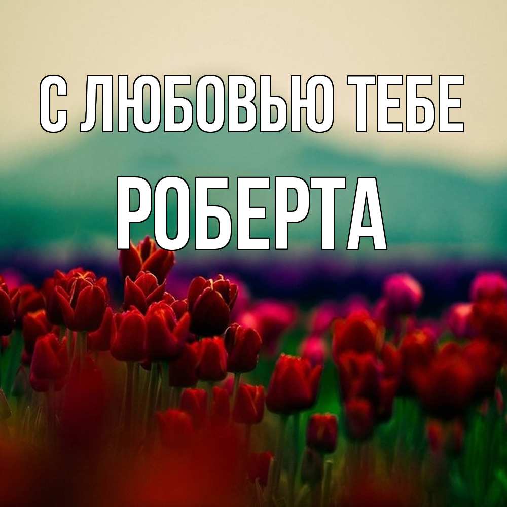 Открытка на каждый день с именем, Роберта С любовью тебе тюльпаны 4 Прикольная открытка с пожеланием онлайн скачать бесплатно 