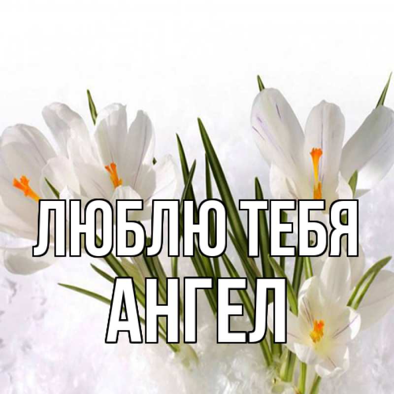 Картинка Люблю тебя, Ангел