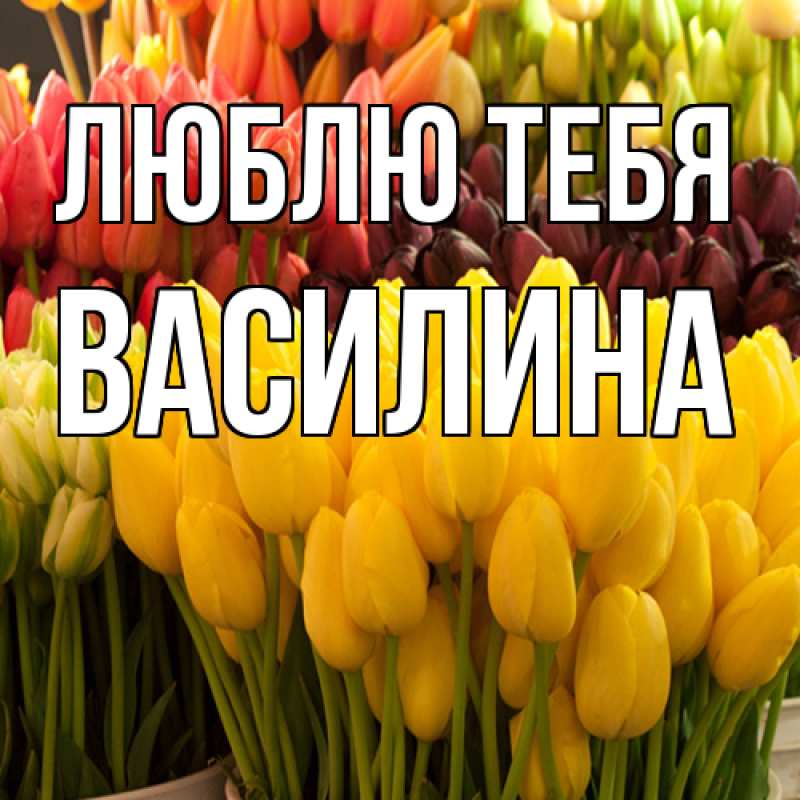 Картинка Люблю тебя, Василина