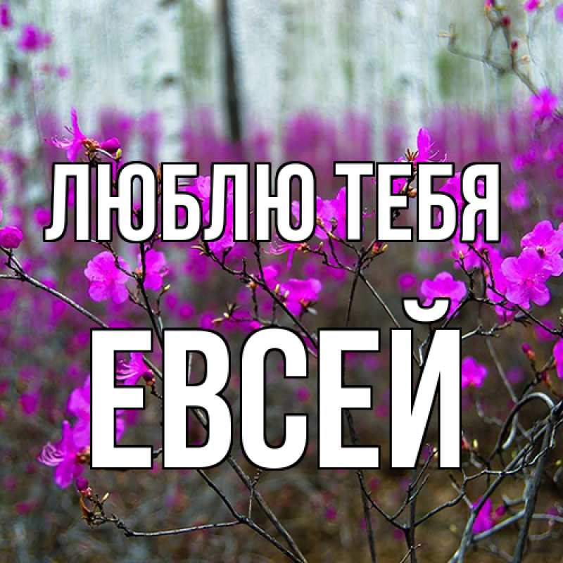 Открытка с именем, Евсей, Люблю тебя