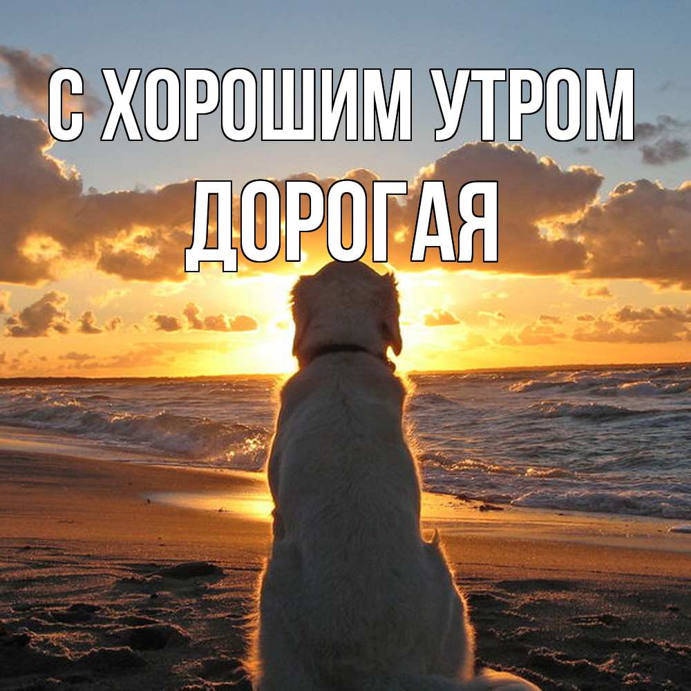 Открытка на каждый день с именем, Дорогая С хорошим утром восход солнца Прикольная открытка с пожеланием онлайн скачать бесплатно 